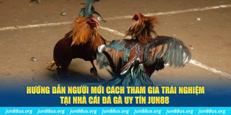 8q bet loi game dot kich ket noi may chu that bai