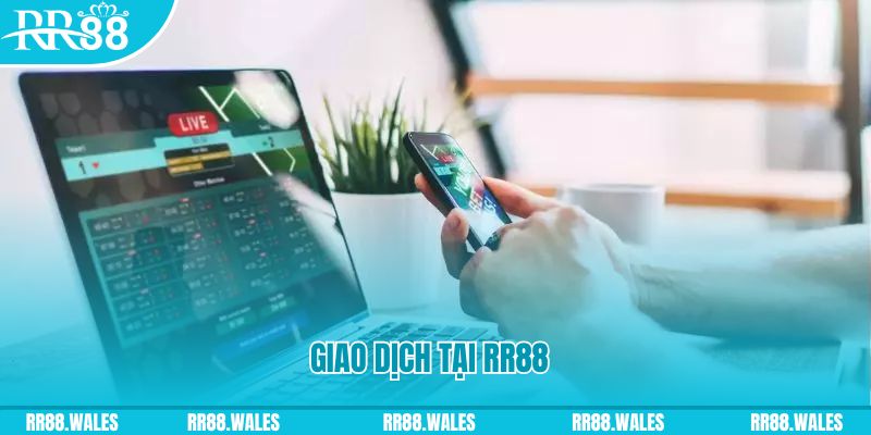 8q bet gà chọi c1.com trực tiếp 888