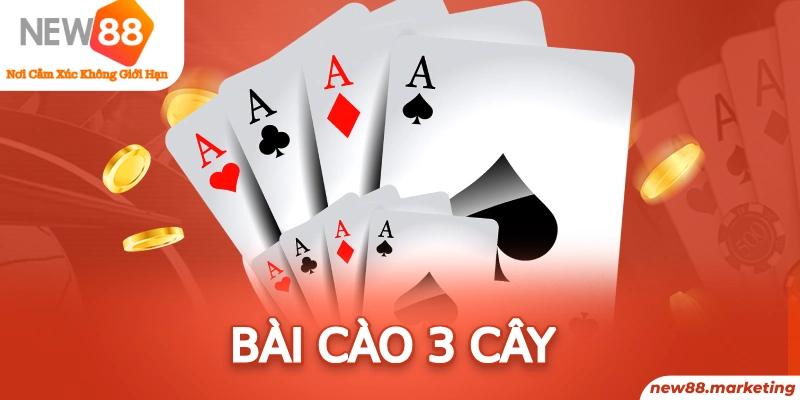 8q bet gà choi c1