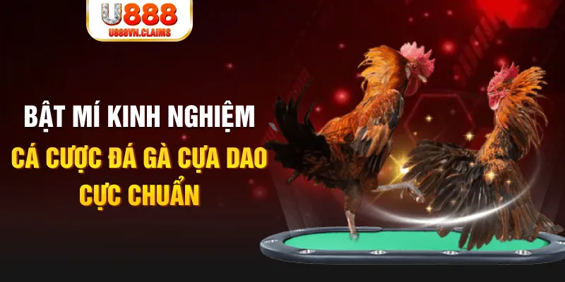 8q bet xổ số miền nam xổ số miền nam