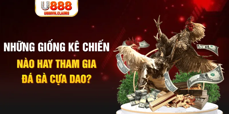 8q bet KA Bắn cá
