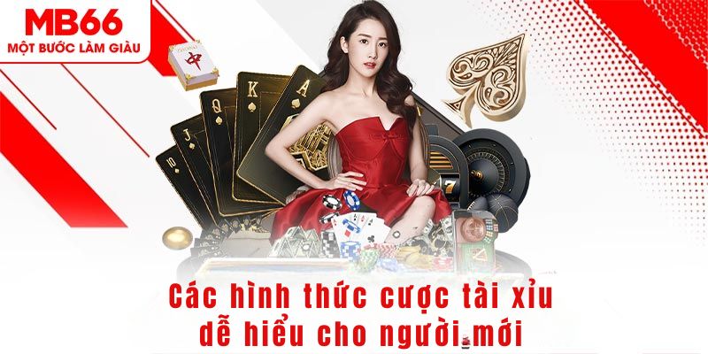 8q bet DG Trực Tuyến