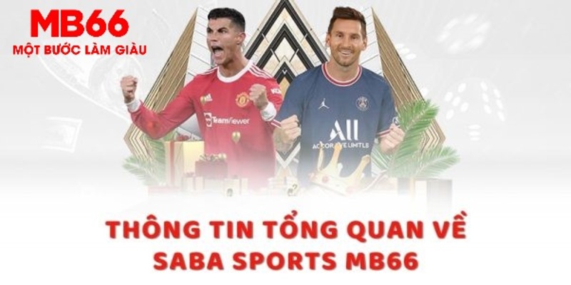 8q bet xem đá gà trực tiếp