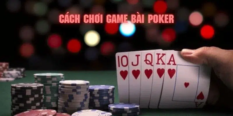 8q bet đăng nhập poker 2024
