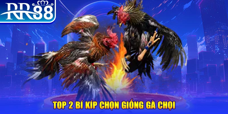 8q bet mục tiêu của người chơi trong baccarat là gì？