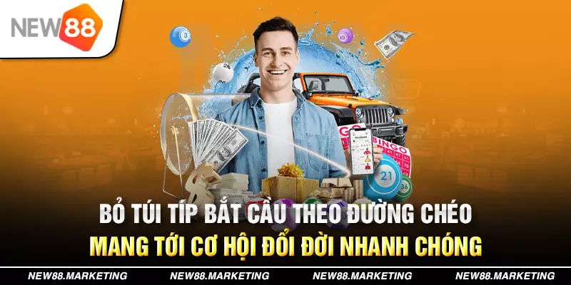 8q bet trực tiếp đá gà
