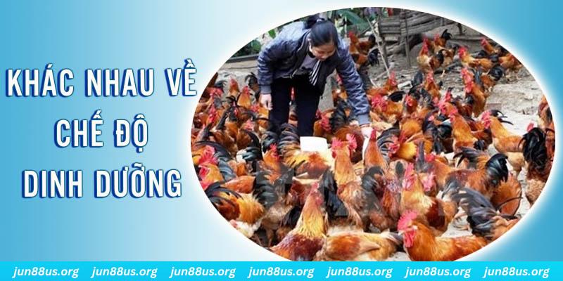 8q bet xổ số miền nam thứ năm hàng tuần