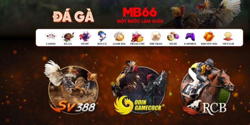 8q bet xổ số kiến thiết miền nam