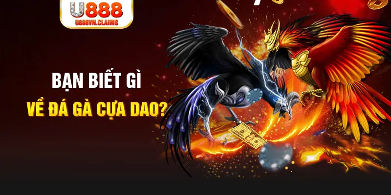 8q bet quay thử xổ số miền nam
