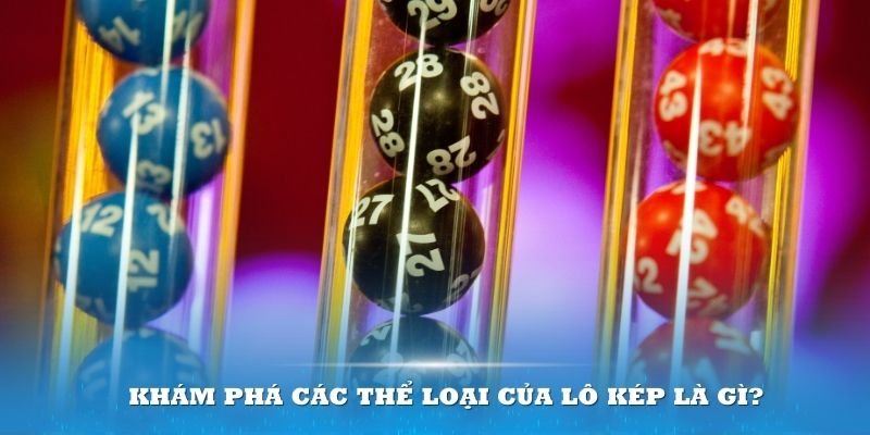 8q bet gà chọi cầu thang