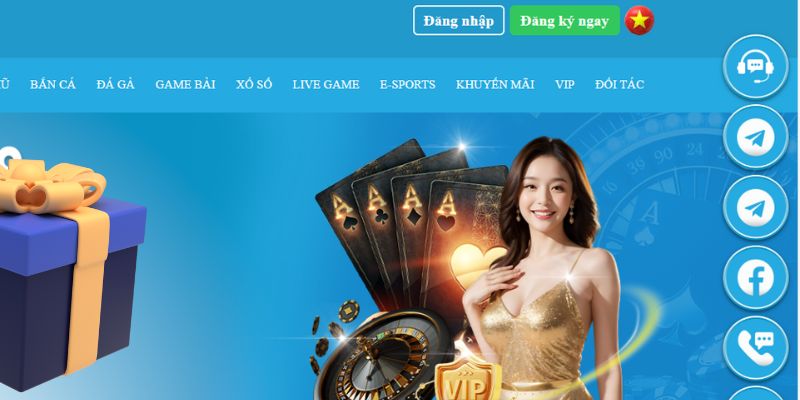 8q bet máy slot
