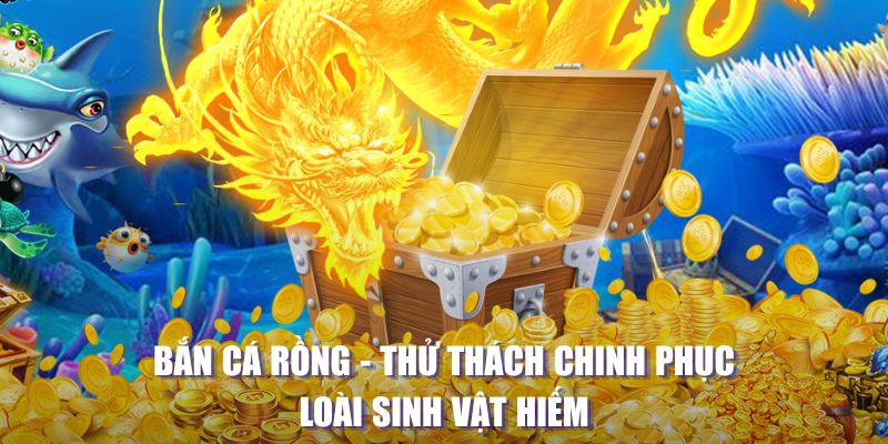 8q bet TP Bắn cá