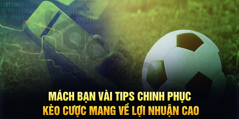 8q bet xổ số miền bắc chủ nhật