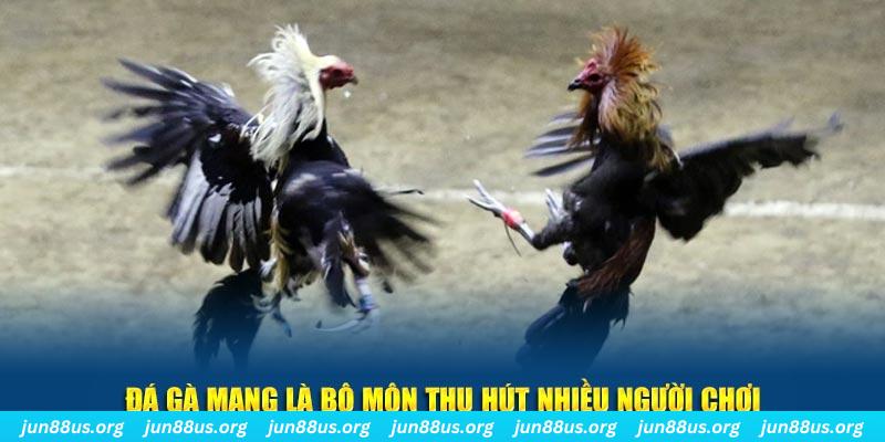 8q bet đăng nhập lô đề hàng đầu