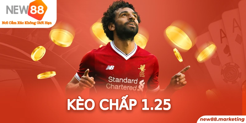 8q bet arne slot là ai