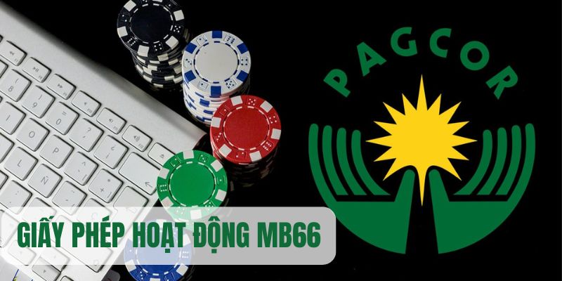 8q bet casino máy tính