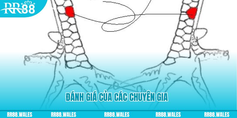 8q bet V8 Game Bài 3d