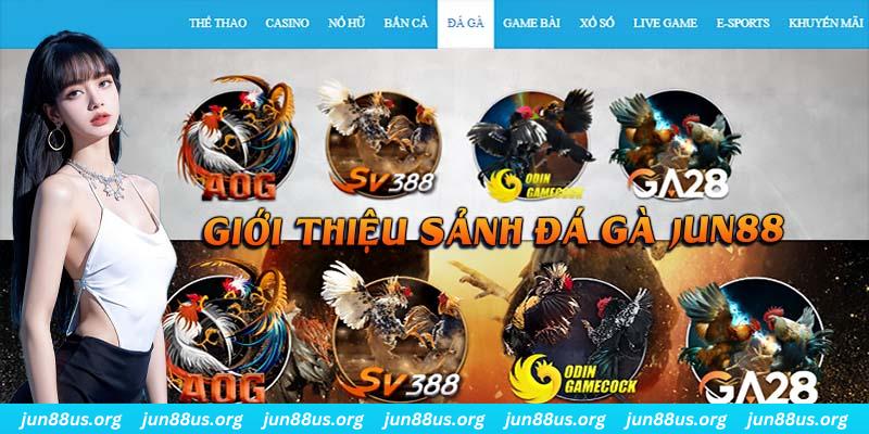 8q bet đá gà trực tiếp bình luận viên