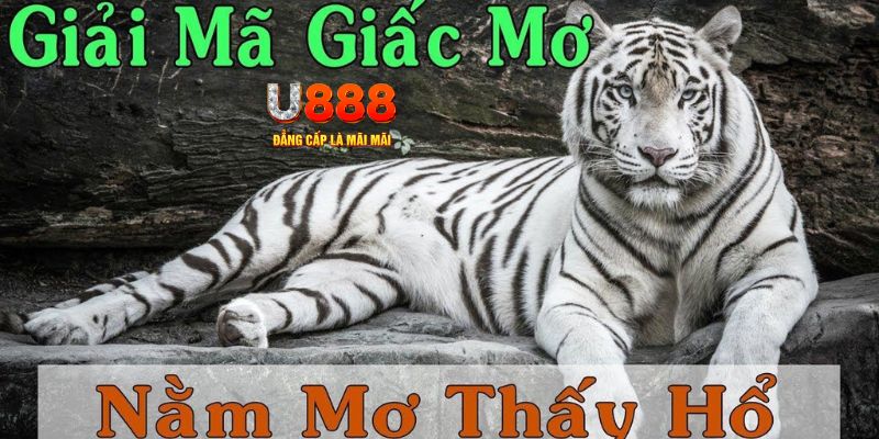 8q bet qq88 nổ hũ bắn cá