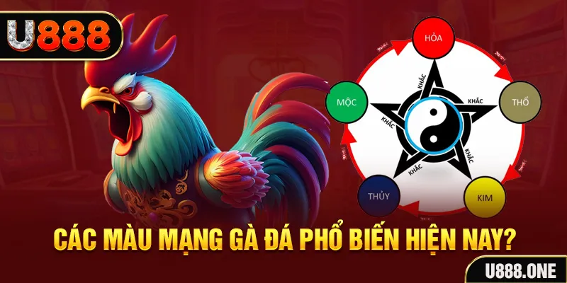 8q bet FTG Điện Tử