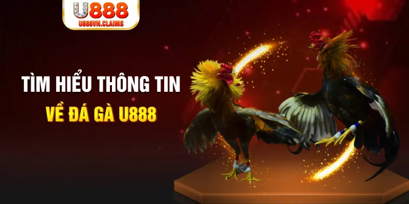 8q bet đăng nhập tiến lên miền nam hàng đầu