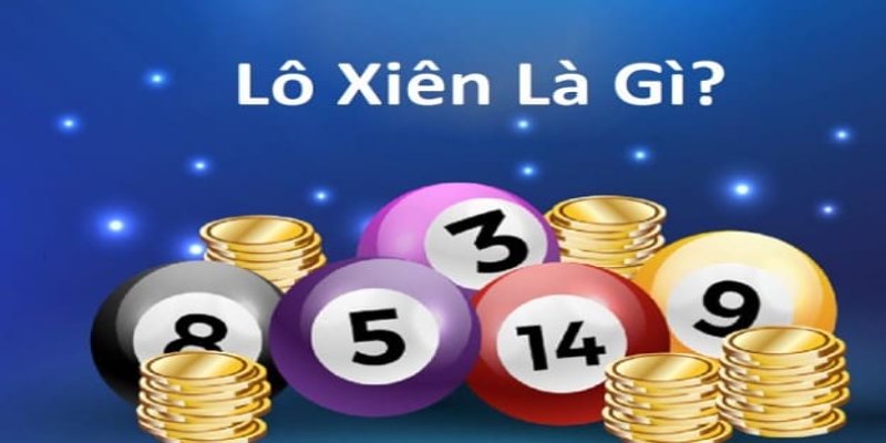 8q bet gà chọi hòa phong