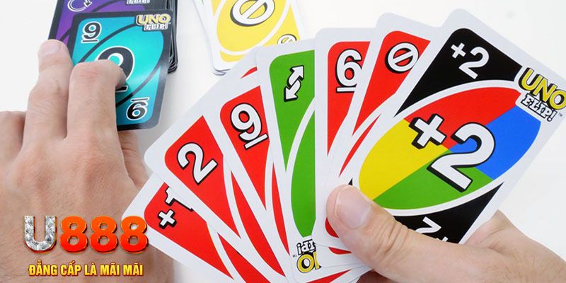 8q bet gà chọi cu cần