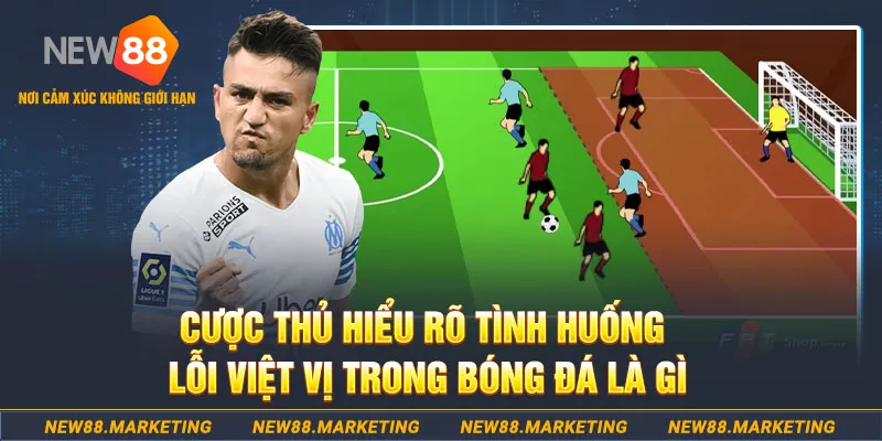 8q bet xổ số bình định