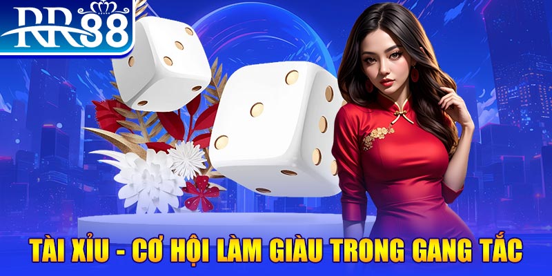 8q bet kết quả xổ số hôm nay
