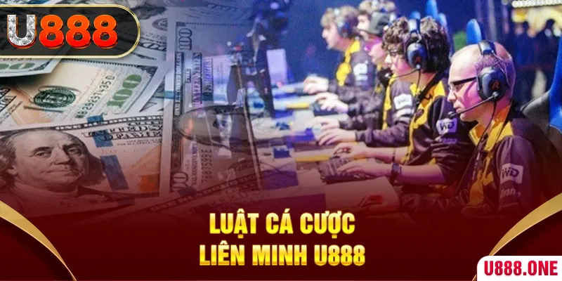 8q bet trực tiếp đá gà hôm nay