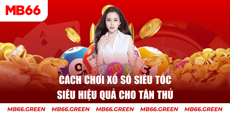 8q bet trực tiếp đá gà c3 hôm nay