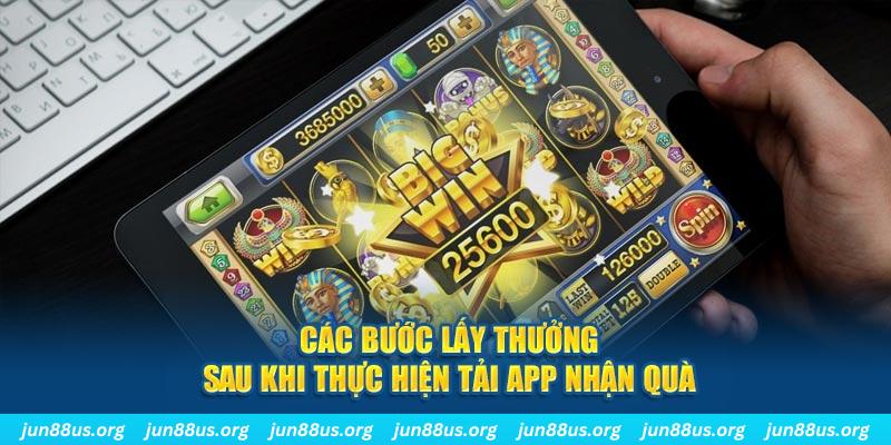 8q bet gà chọi