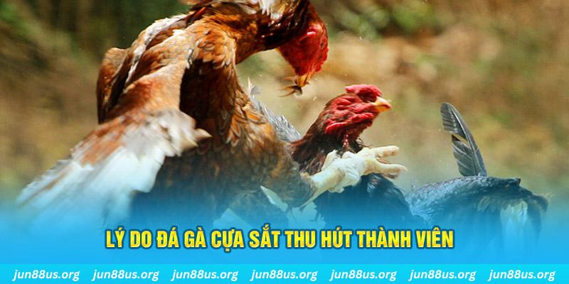 8q bet chiếm slot là gì