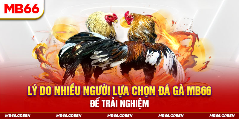 8q bet KA Điện Tử
