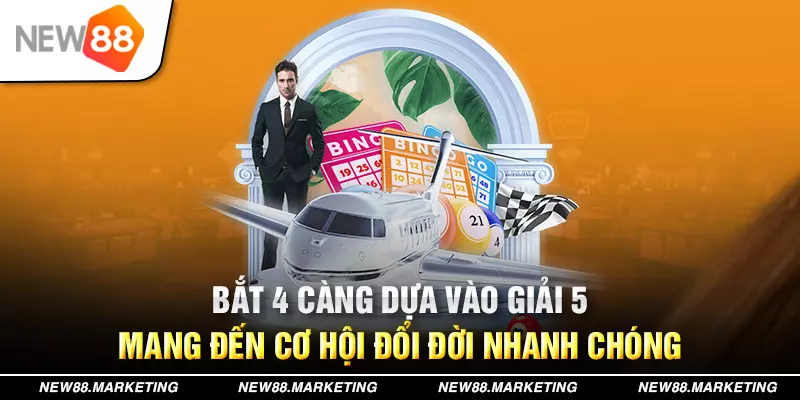 8q bet đá gà trực tiếp