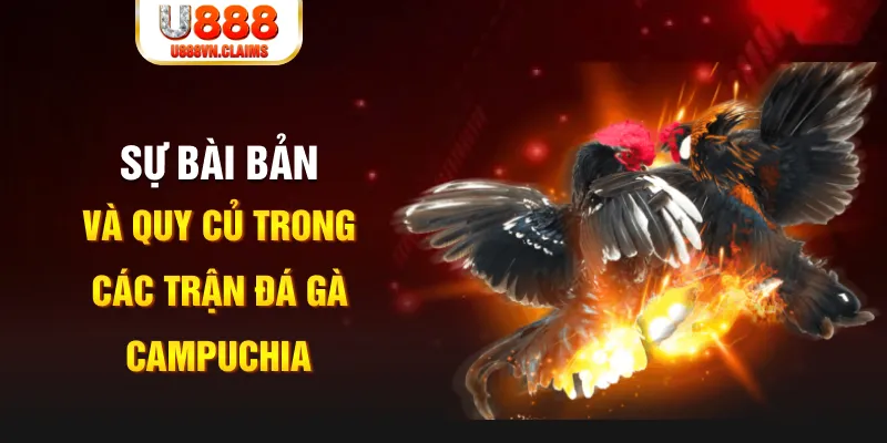 8q bet PG Điện Tử
