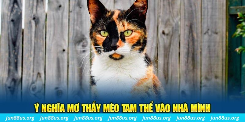 8q bet RTG Bắn cá