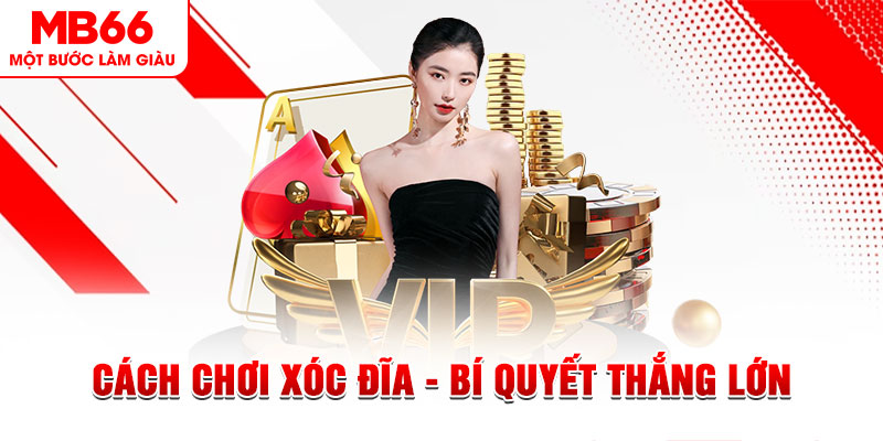 8q bet trực tiếp đá gà c1 hôm nay