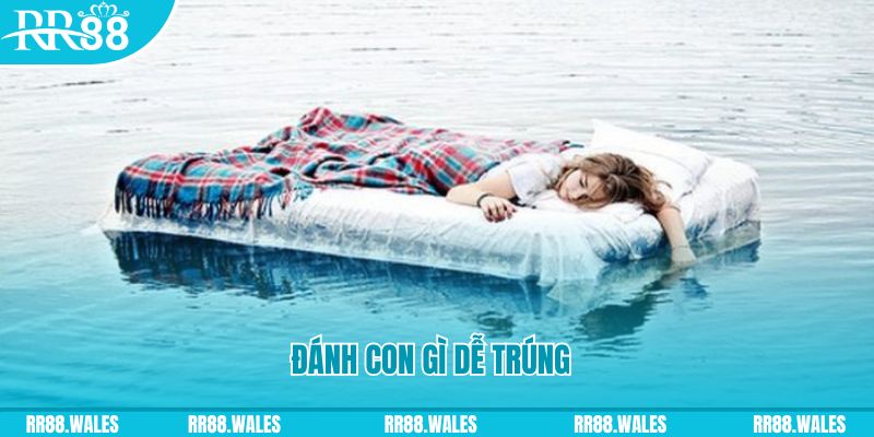 8q bet đăng nhập liêng hàng đầu