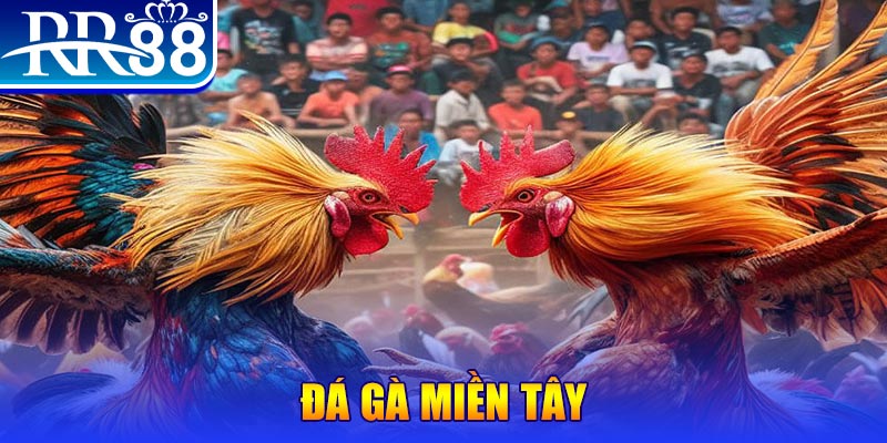 8q bet nổ hũ ai là gì
