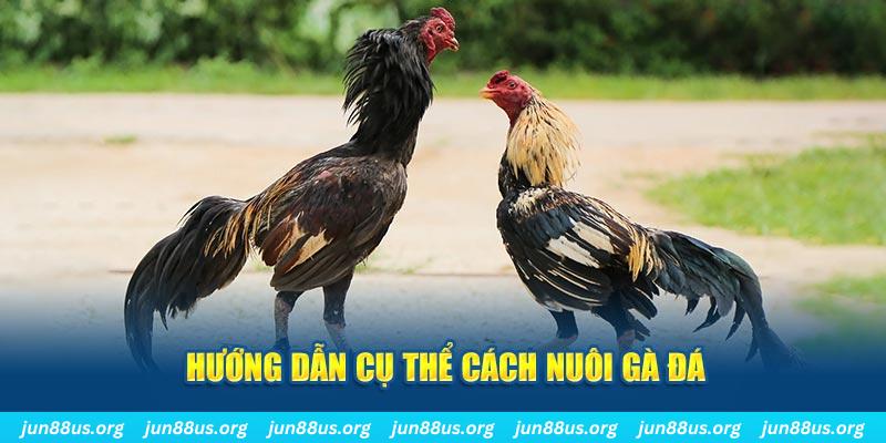 8q bet đăng nhập sòng bạc số 1