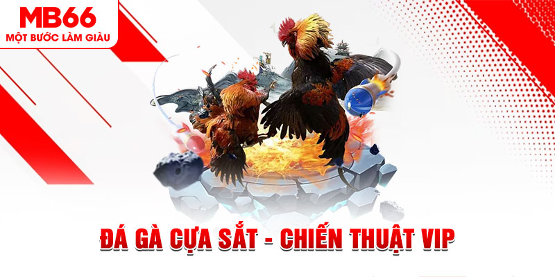 8q bet xổ số trực tiếp hôm nay
