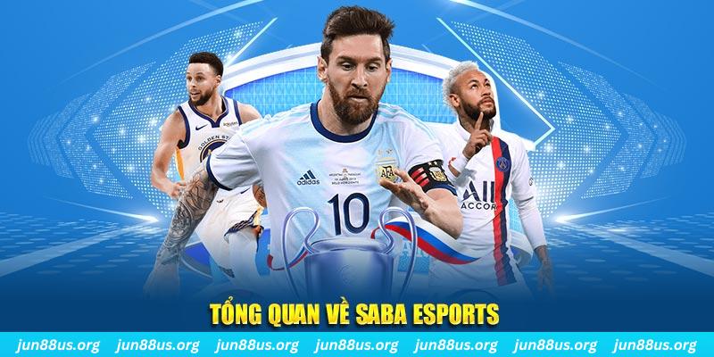 8q bet kết quả xổ số miền nam
