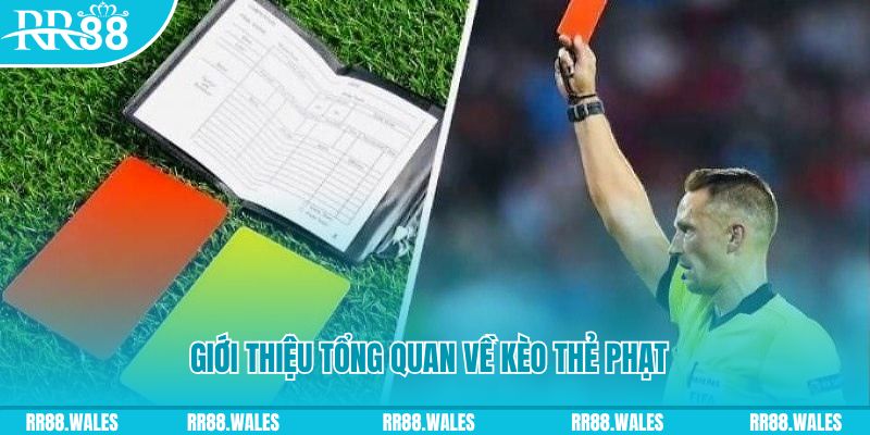 8q bet những ai nên chơi nổ hũ