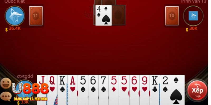 8q bet esport là gì