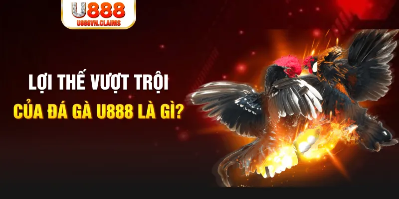 8q bet 168G Điện Tử
