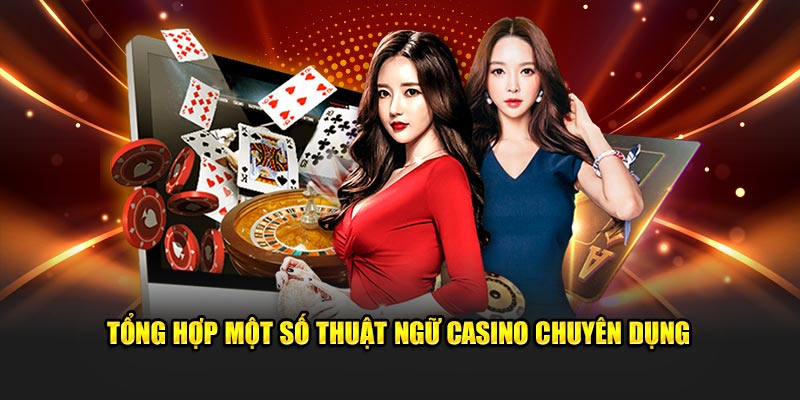 8q bet xổ số miền bắc thứ ba hàng tuần