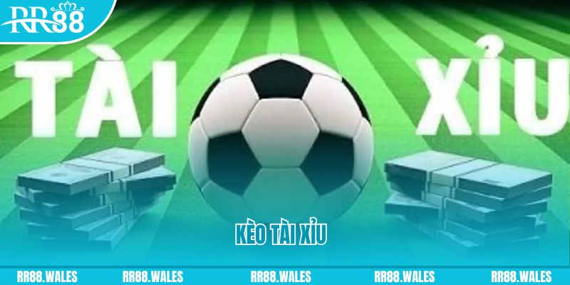 8q bet Giành Chủ Bull Bull