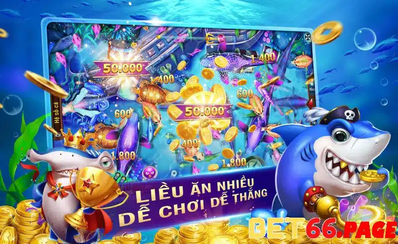 8q bet kết quả xổ số miền trung hôm nay
